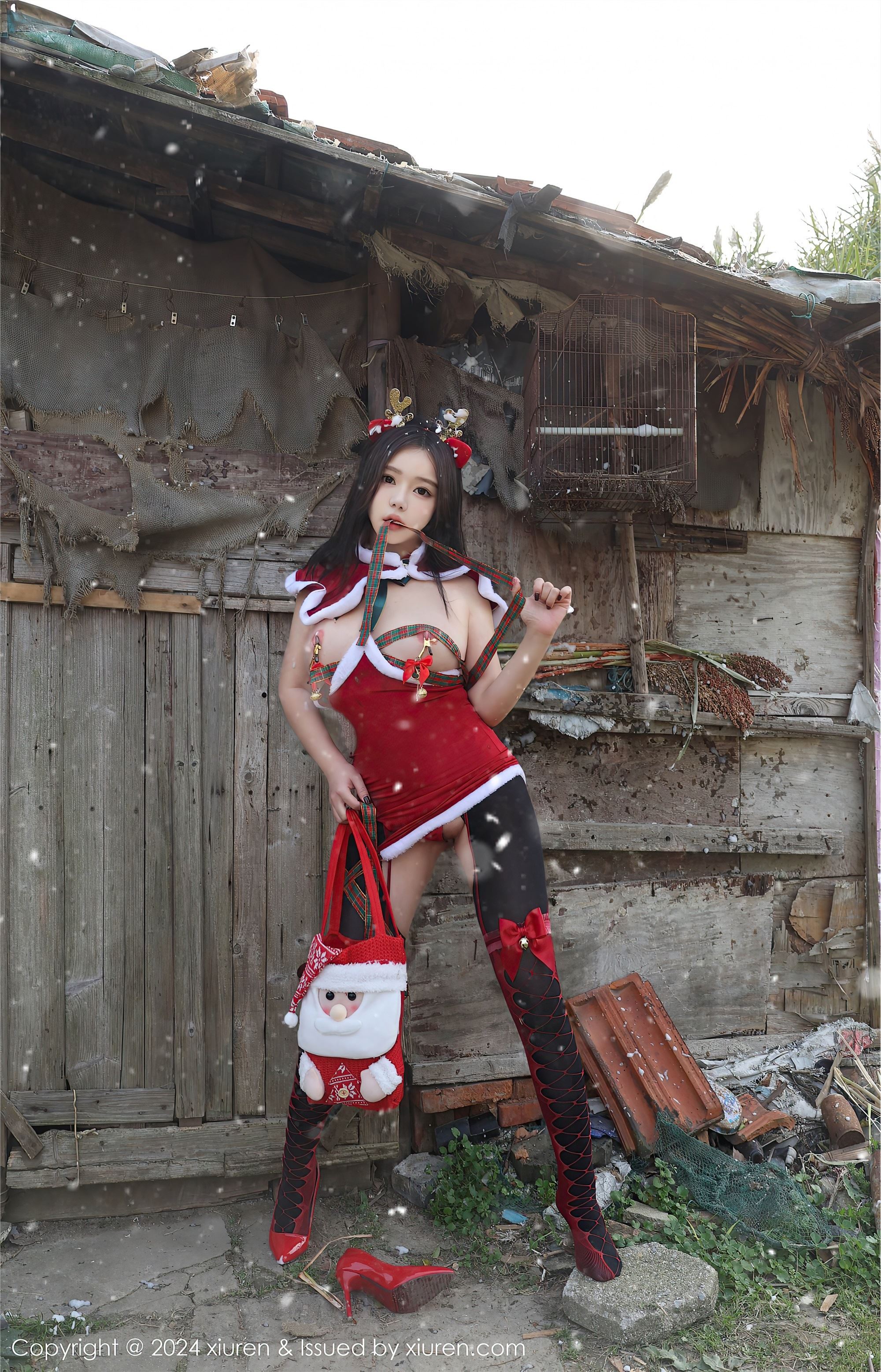 Xiuren秀人网 2024.12.20 NO.9630 小薯条nienie